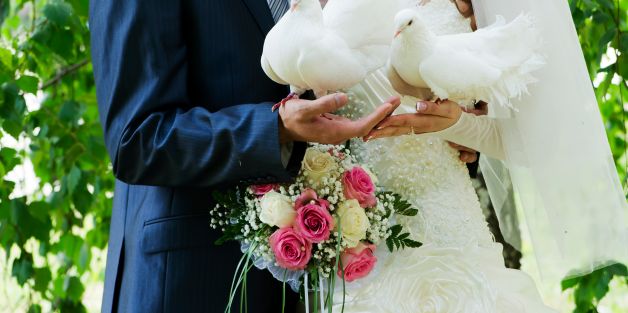 envolée colombe mariage et evenements envolée colombe mariage et evenements