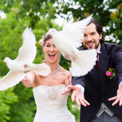 envolée de colombes mariage ferme cariphael envolée de colombes mariage ferme cariphael