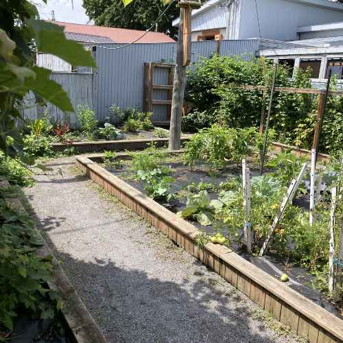 potager ferme de cariphael potager ferme de cariphael